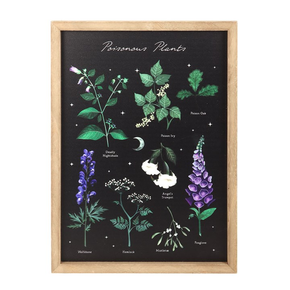 Poisonous Plants Framed Wall Art Print