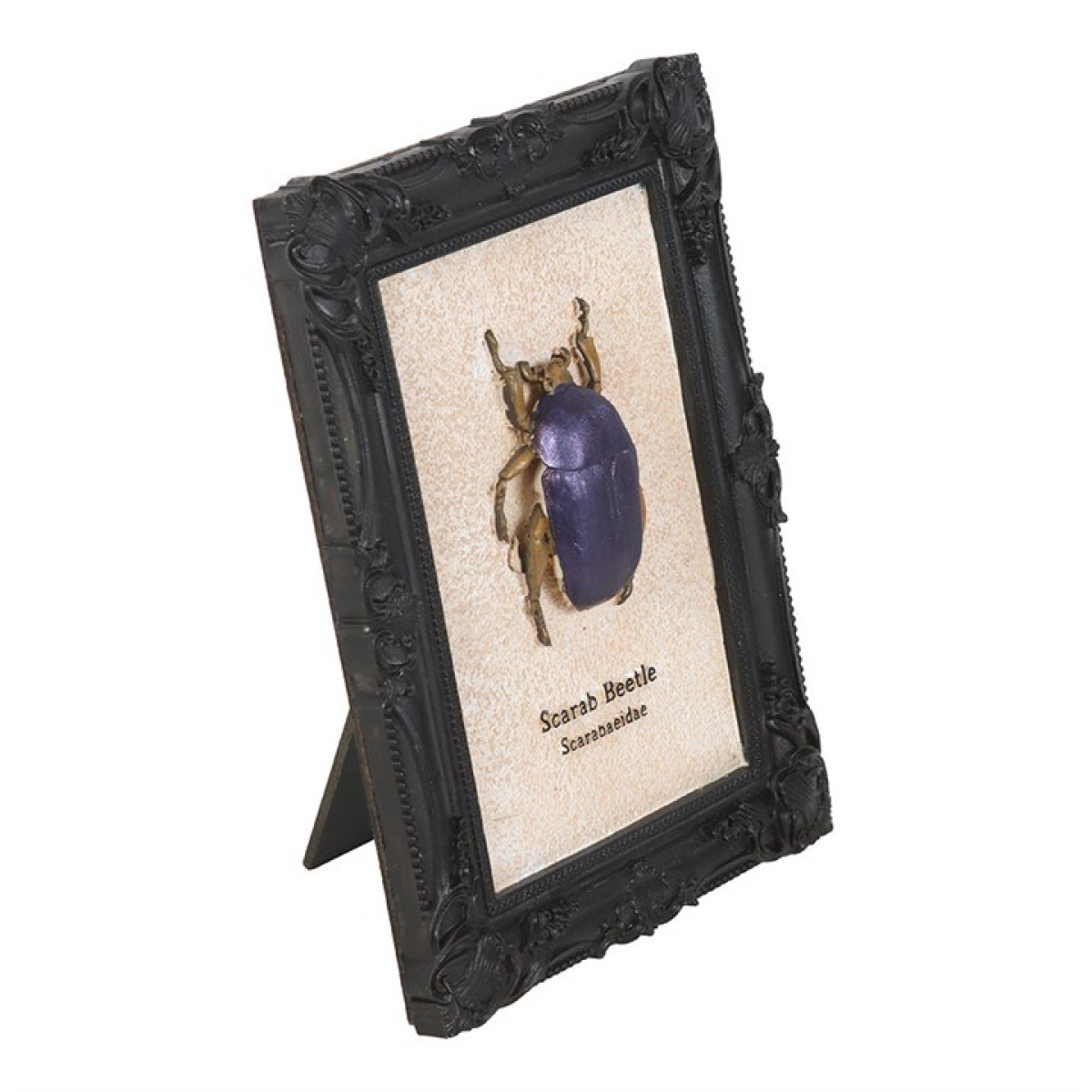 Scarab Beetle Framed Wall Art Print